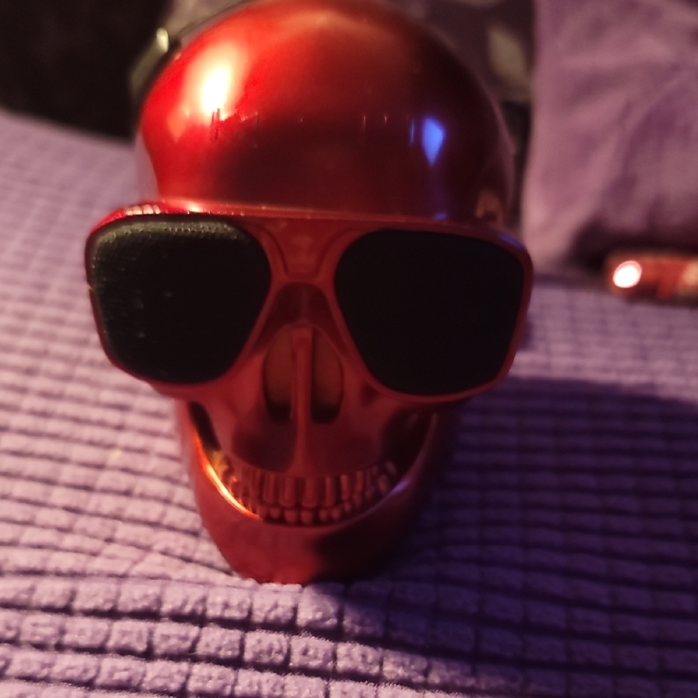 Speaker skull